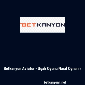 Betkanyon Aviator - U&ccedil;ak Oyunu Nasıl Oynanır